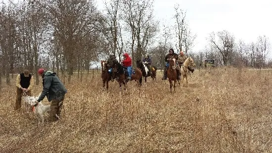 Central Prairie Field Trial Club spring results